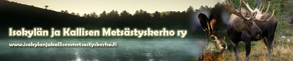 rhy.fi