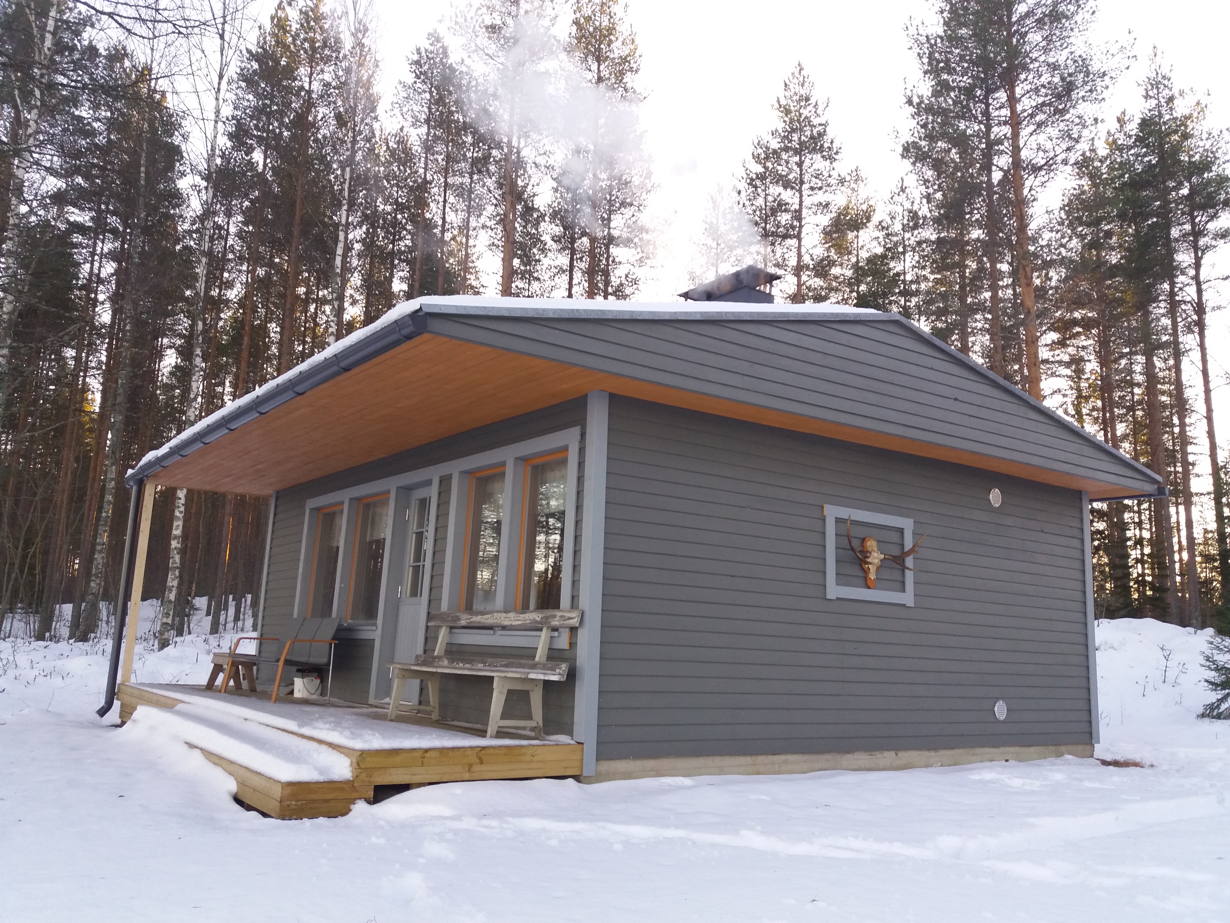 Mets&auml;stysk&auml;mpp&auml;